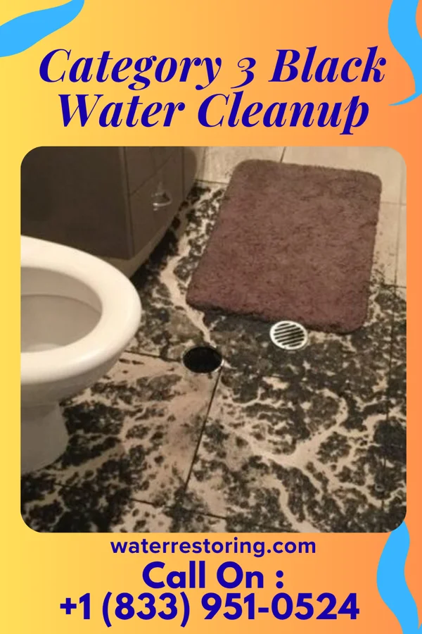 Category 3 Black Water Cleanup in Grand Lake Towne, OK