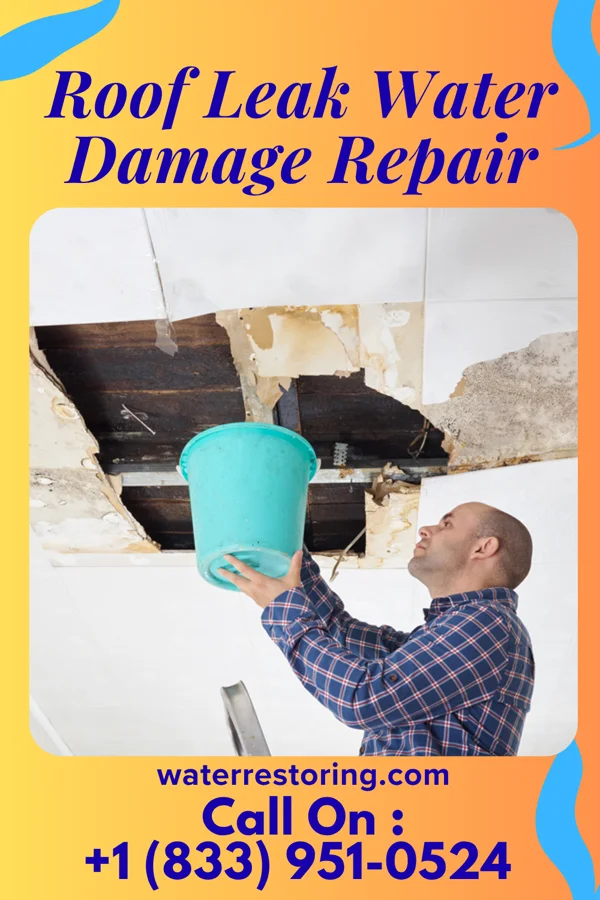Roof Leak Water Damage Repair in Grand Lake Towne, OK